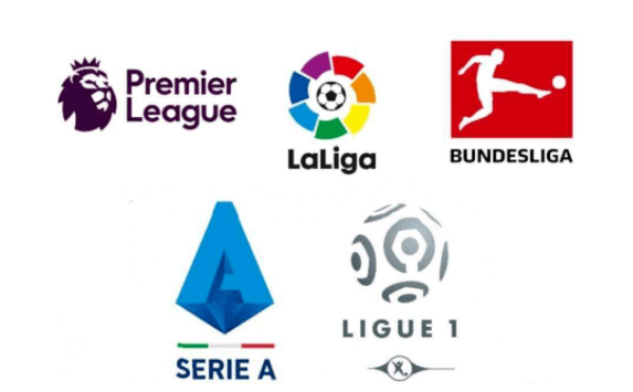 这对马匹的 这对马匹的